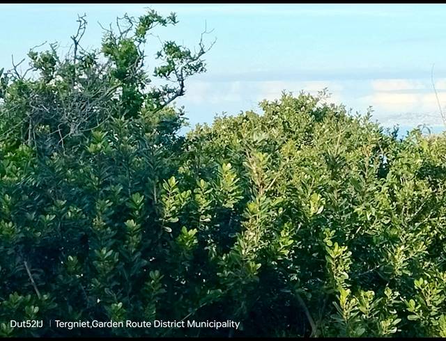 708M² VACANT LAND FOR SALE IN TERGNIET